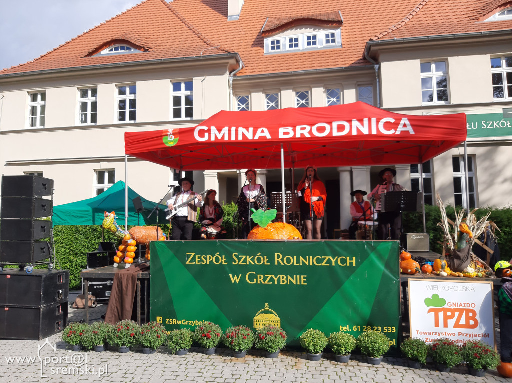 Święto korbola w Grzybnie
