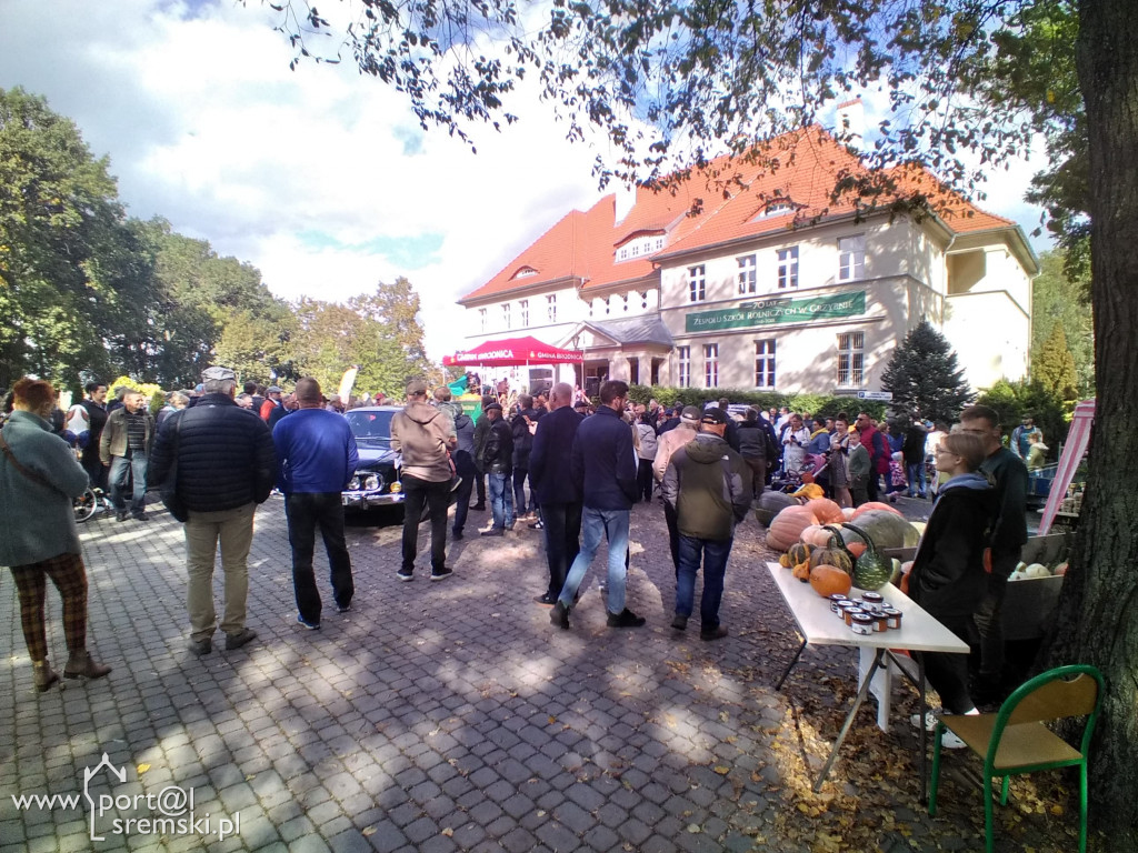 Święto korbola w Grzybnie