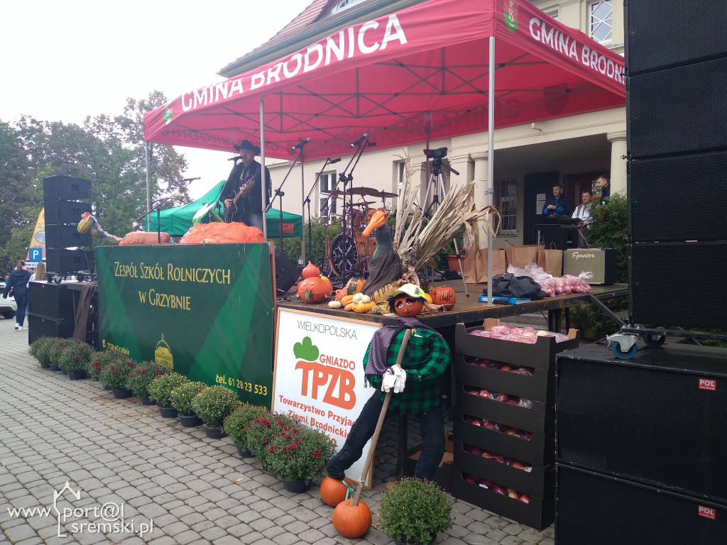 Święto korbola w Grzybnie