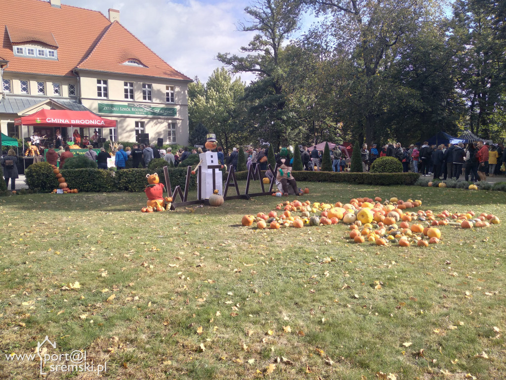 Święto korbola w Grzybnie