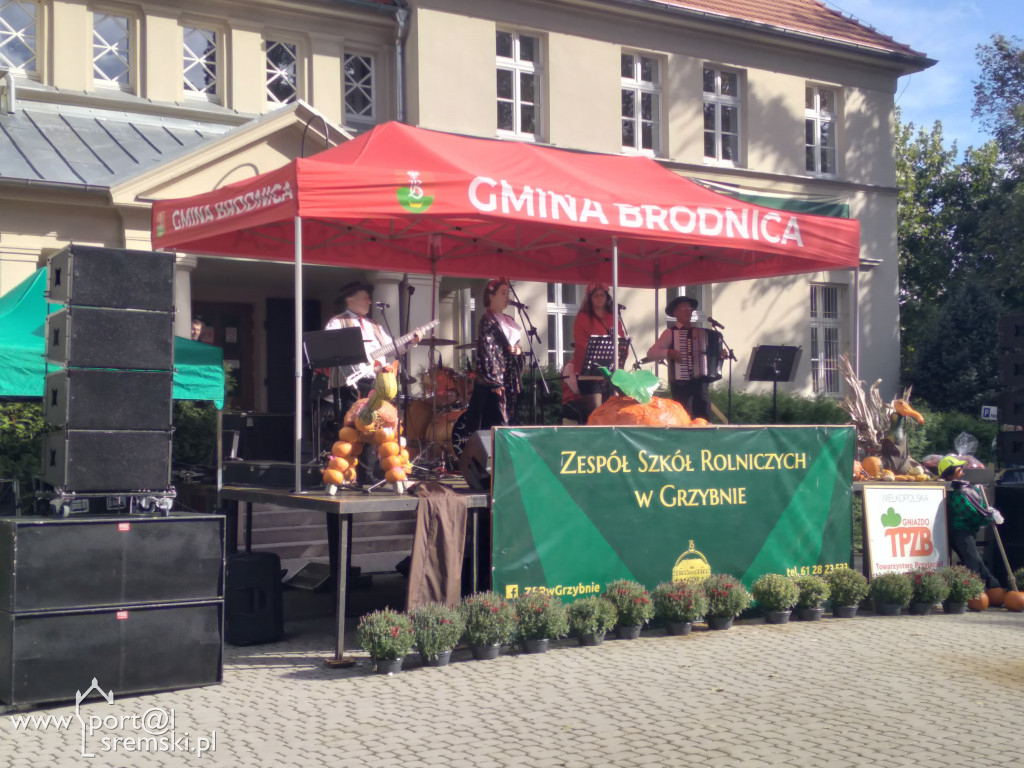 Święto korbola w Grzybnie