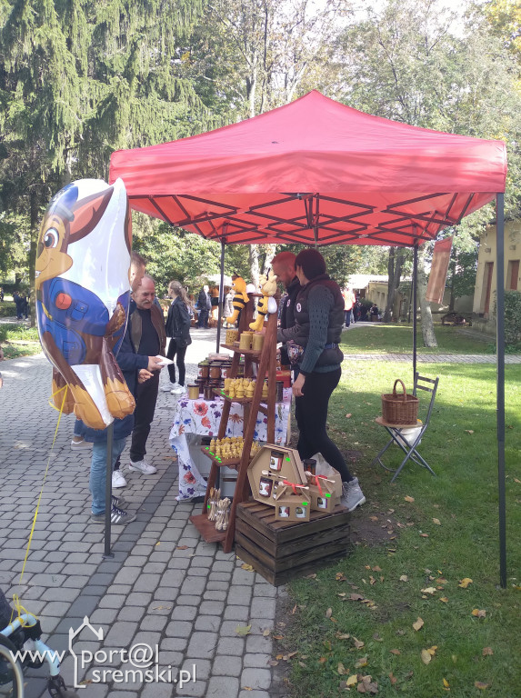 Święto korbola w Grzybnie