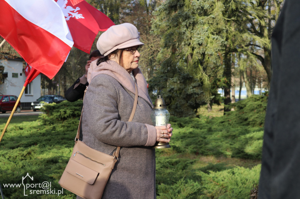 Narodowy Dzień Pamięci Zwycięskiego Powstania Wlkp.