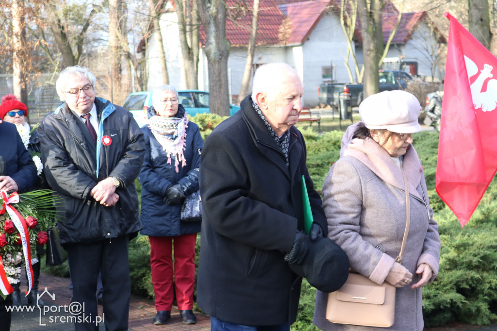 Narodowy Dzień Pamięci Zwycięskiego Powstania Wlkp.