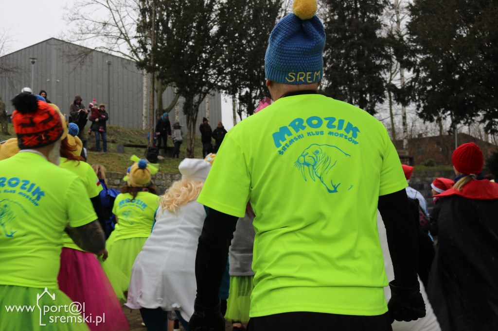31. Finał WOŚP w Śremie