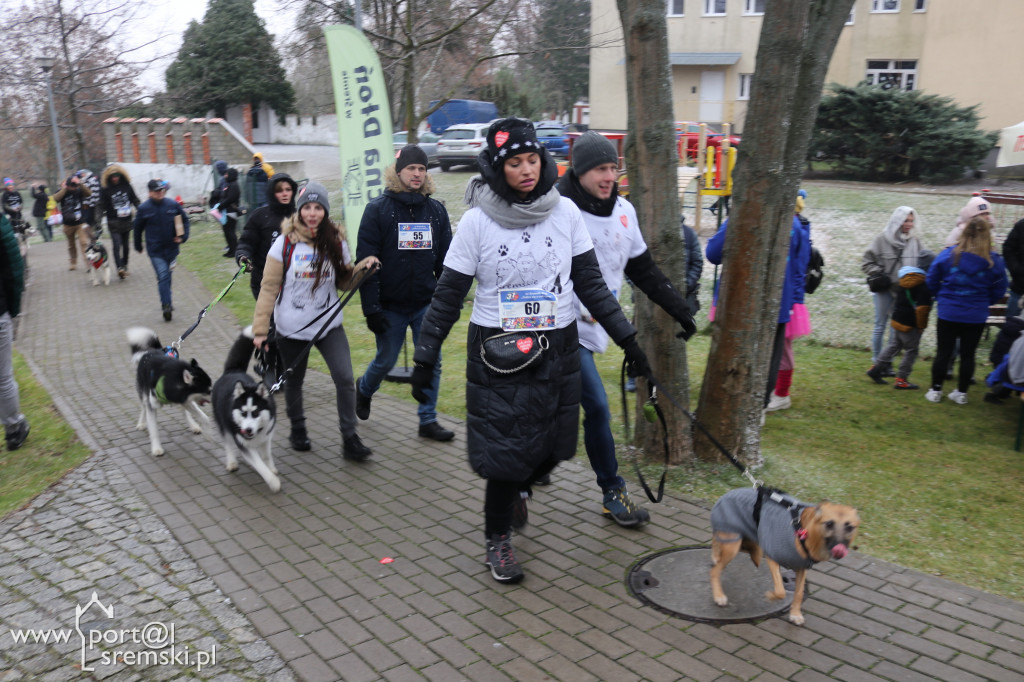 31. Finał WOŚP w Śremie