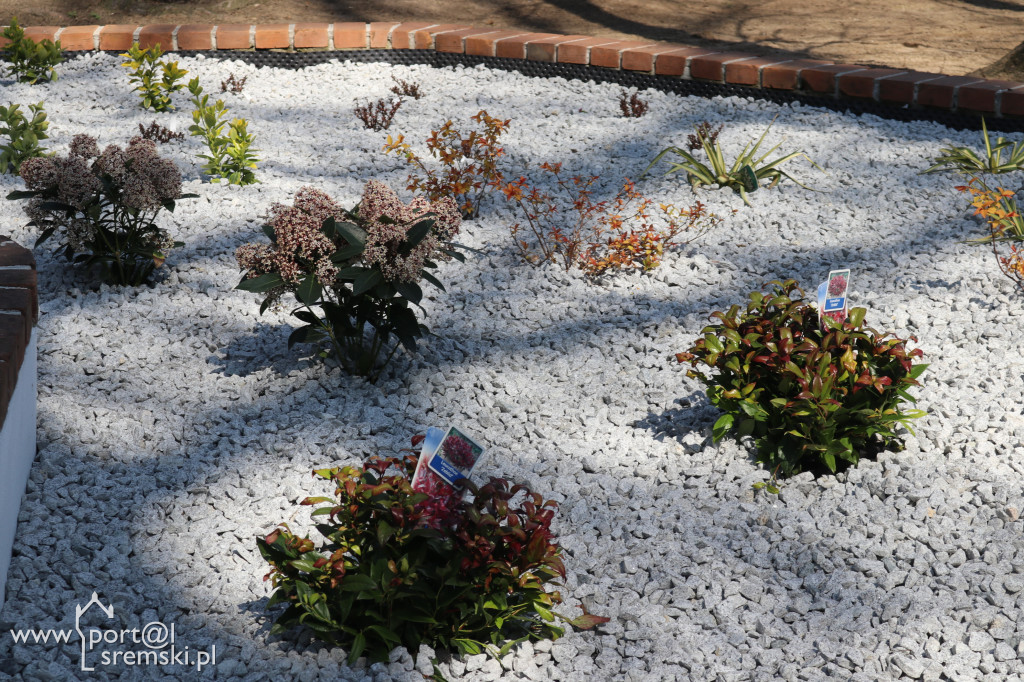 135-lecie Parku Miejskiego w Śremie