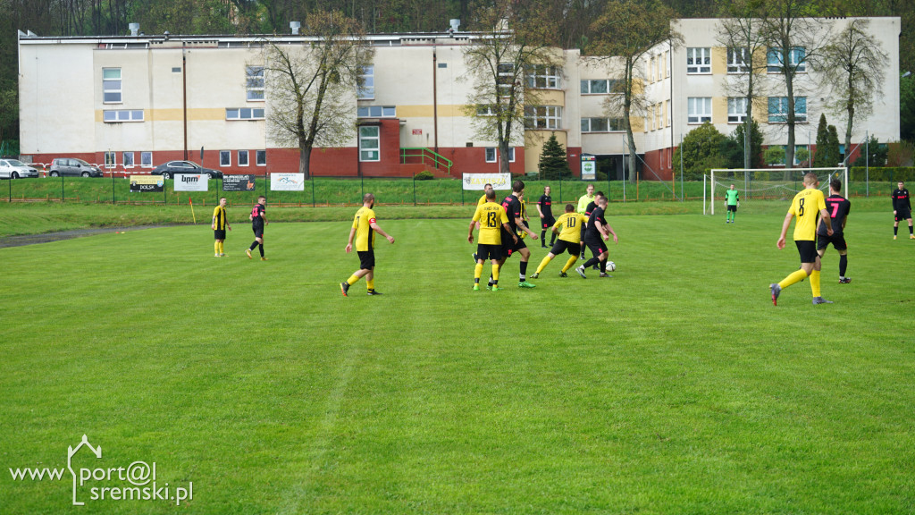 Zawisza Dolsk - TPS Winogrady