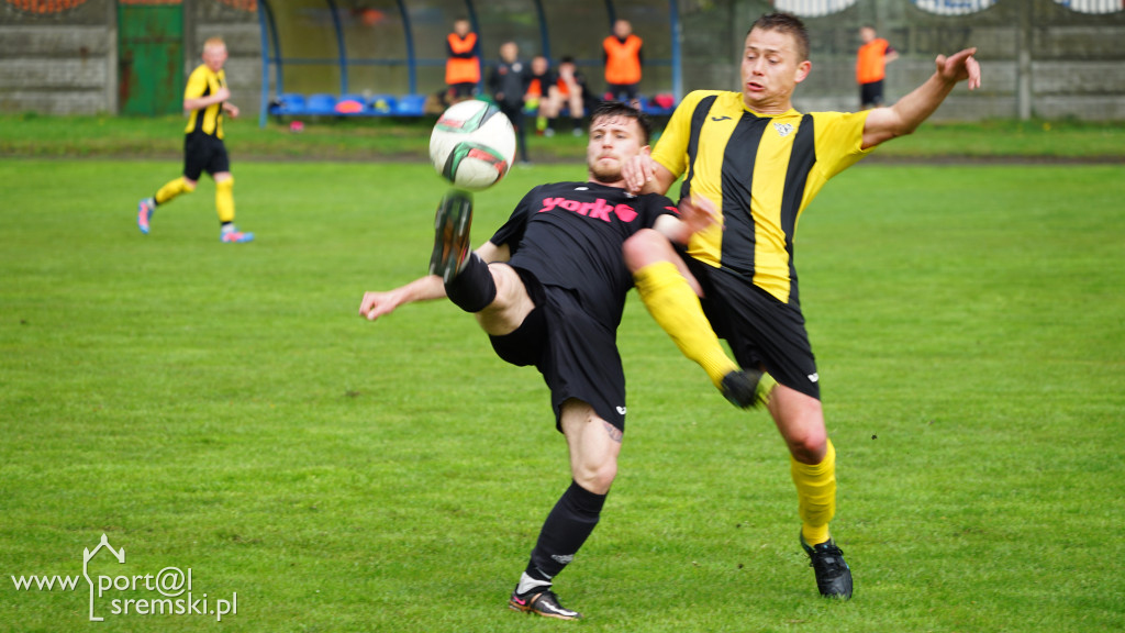 Zawisza Dolsk - TPS Winogrady