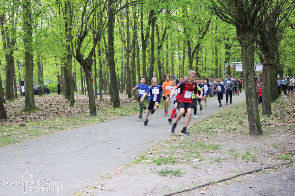 XV Festiwal Biegowy Ekonoma