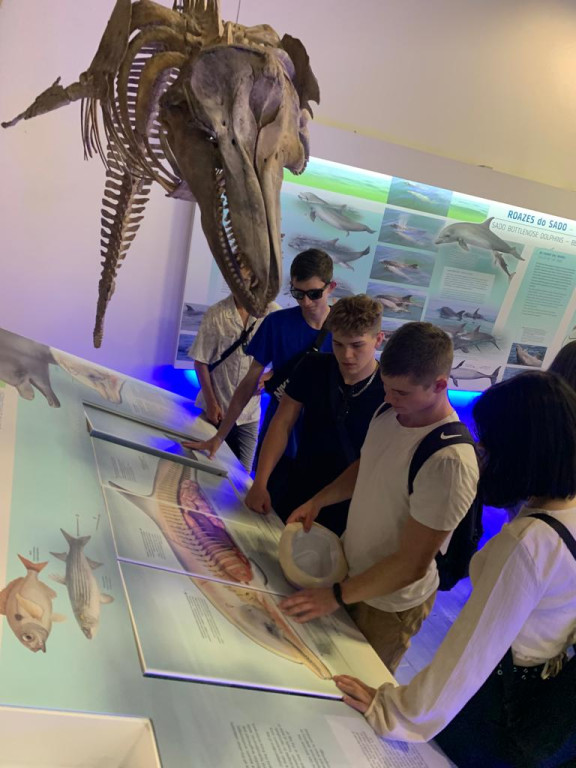 Przygody Hipolita w Portugalii i Hiszpanii