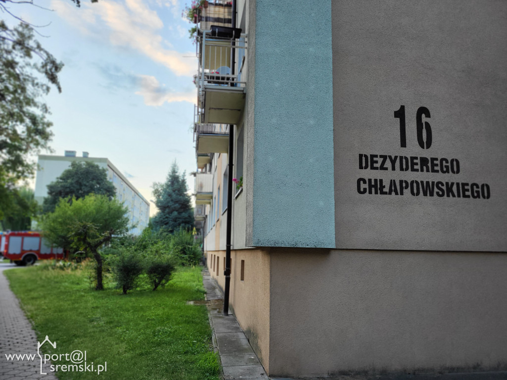 Kot utknął w oknie