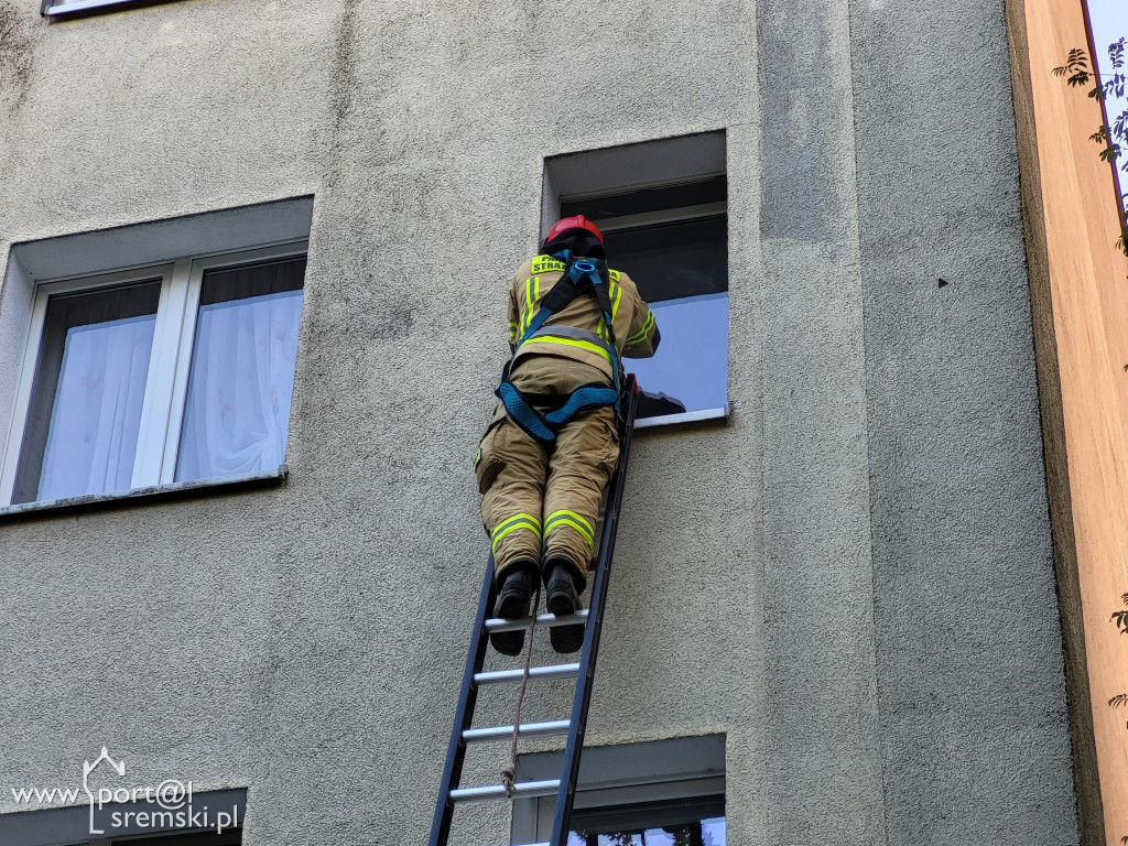 Kot utknął w oknie