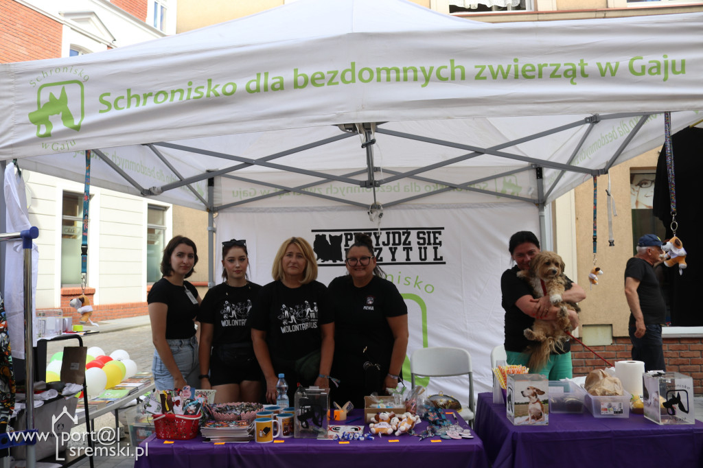 Otwarcie deptaka i Aleja Gwiazd