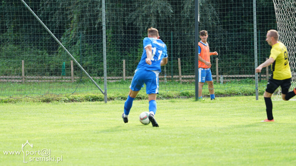 Zawisza Dolsk - Sparta Miejska Górka