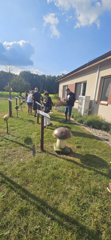 Grzybobranie we włościejewickich lasach