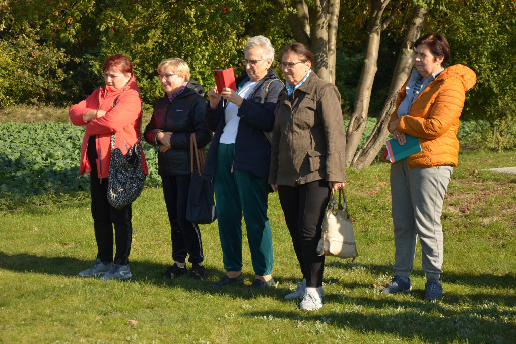 W Książu posadzili 500-letni dąb Wybickiego