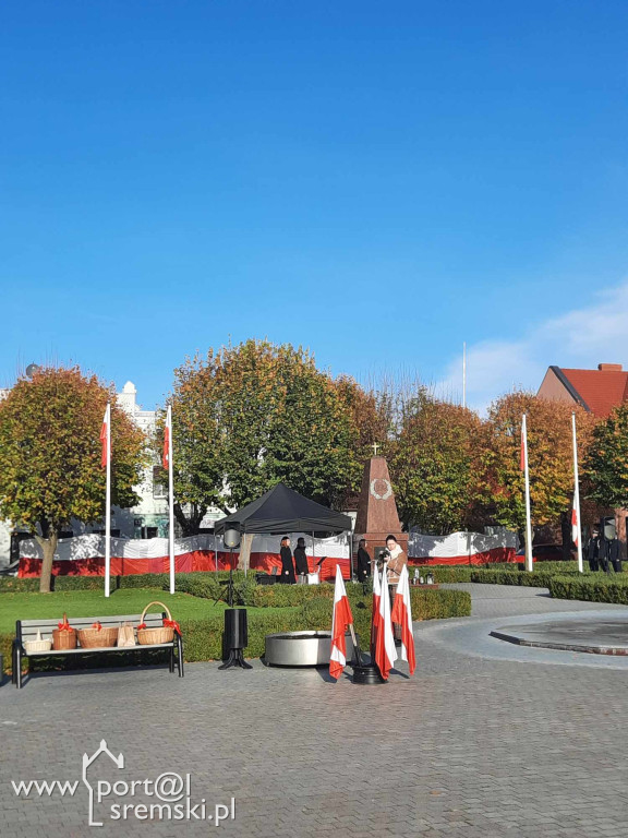 11 listopada w Książu Wlkp.