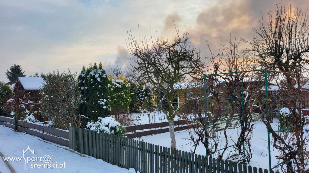 Pożar altany ROD w Śremie