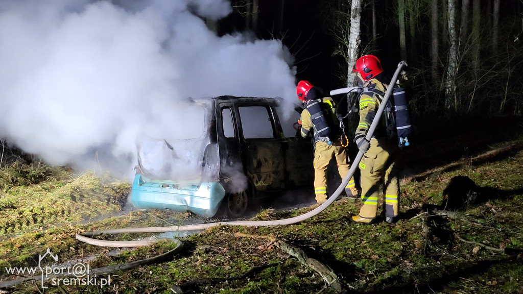Spalone auto w lesie