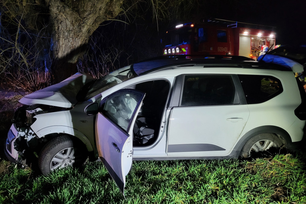 Dacia uderzyła w drzewo