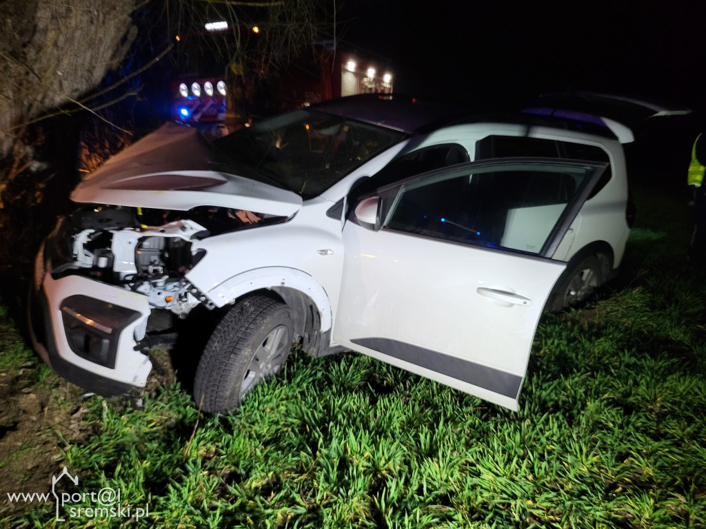 Dacia uderzyła w drzewo