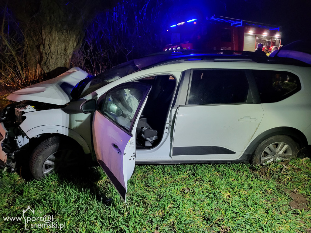 Dacia uderzyła w drzewo