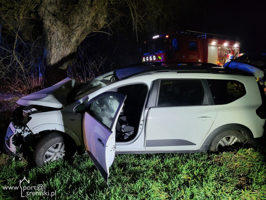 Dacia uderzyła w drzewo