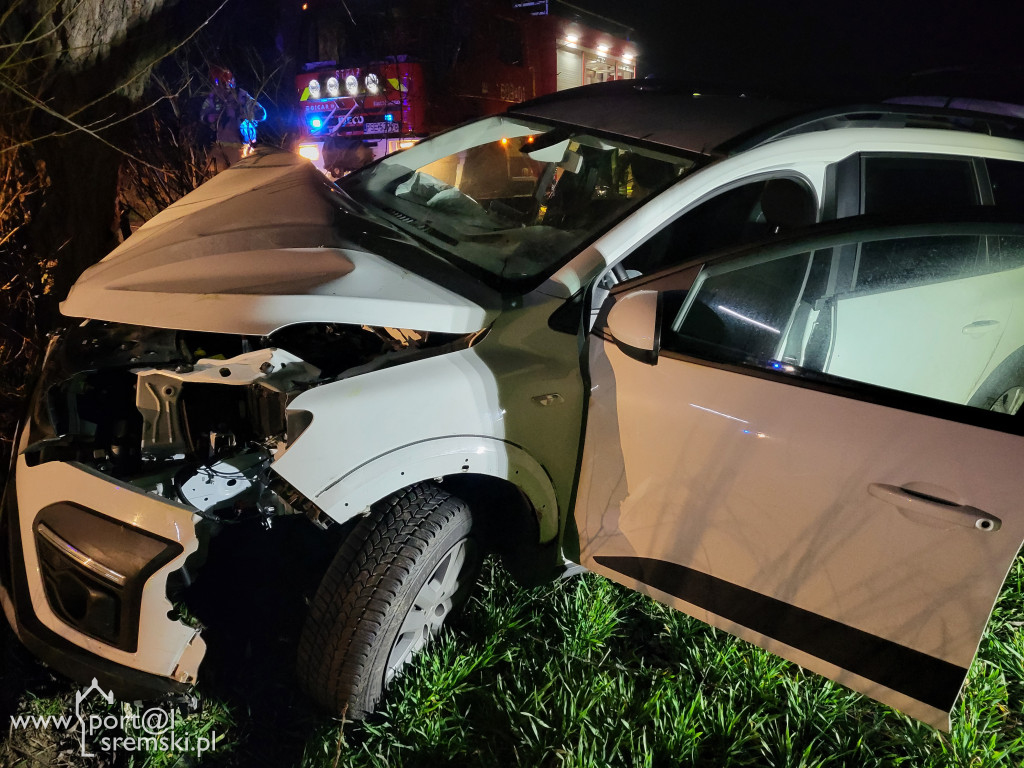 Dacia uderzyła w drzewo