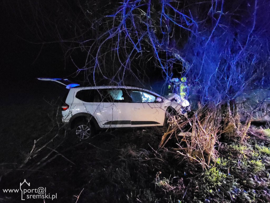 Dacia uderzyła w drzewo