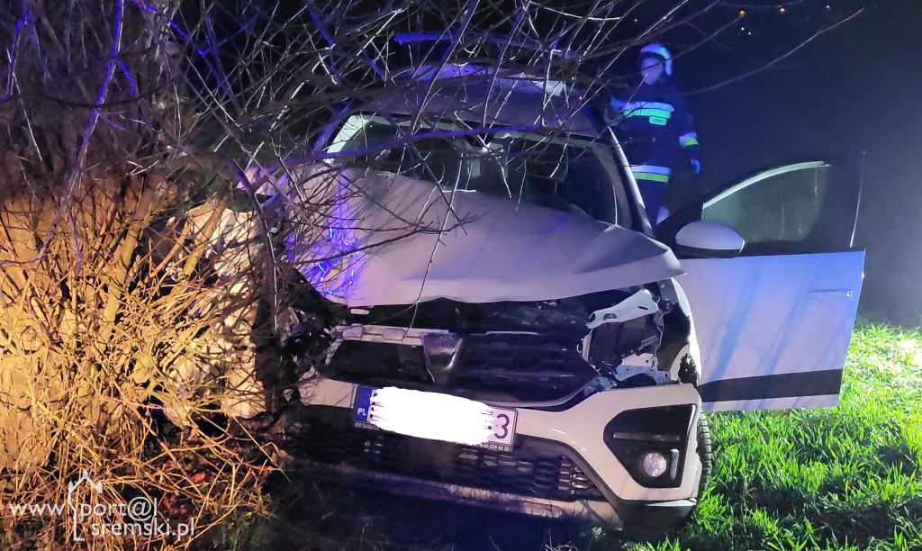 Dacia uderzyła w drzewo