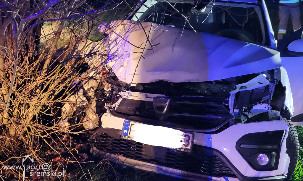 Dacia uderzyła w drzewo