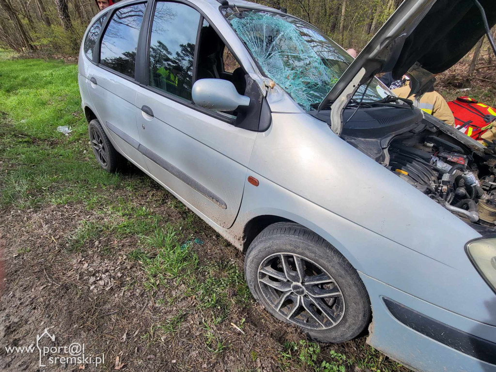 Zdarzenie na trasie Śrem - Książ Wlkp.