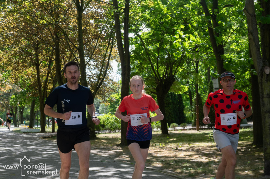 XVI Festiwal Biegowy Ekonoma
