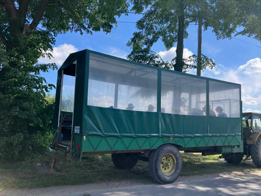 Projekt 