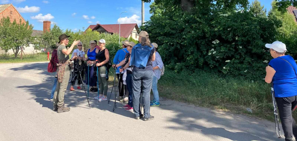 Projekt 