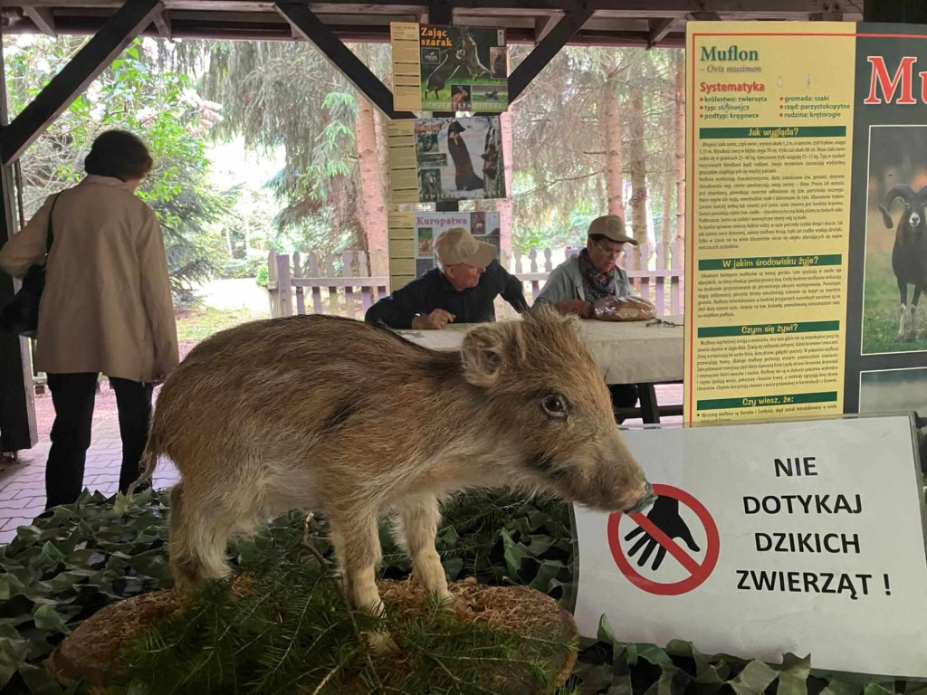 Projekt 