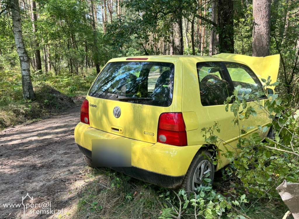 Na podwójnym gazie pojechał do lasu