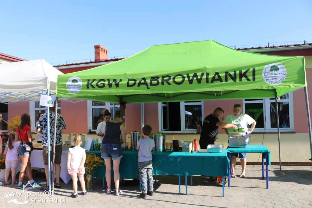 Piknik w Dąbrowie