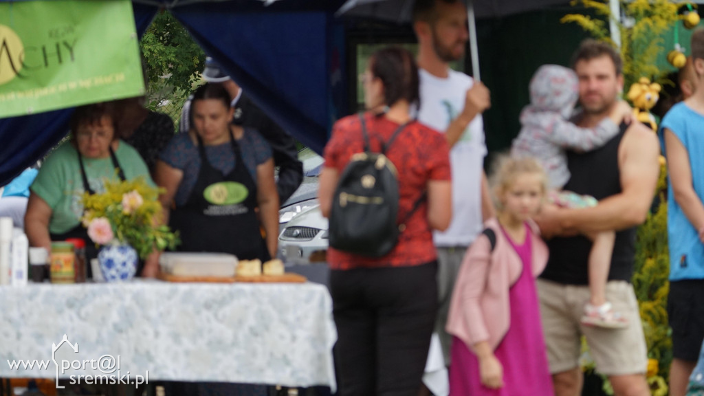 Mchy - dożynki gminy Książ Wlkp.