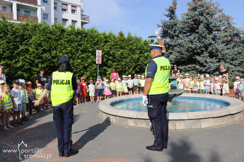 Policyjna akcja 