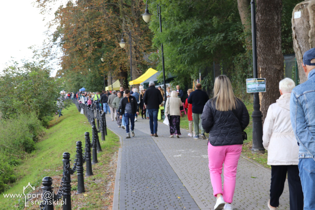 Promenada jak za dawnych lat w Śremie egzotycznie