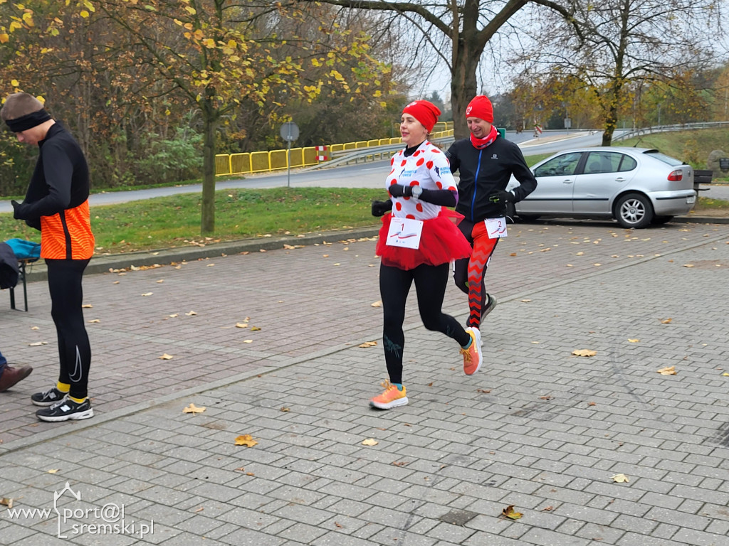 Biegali ku Niepodległej