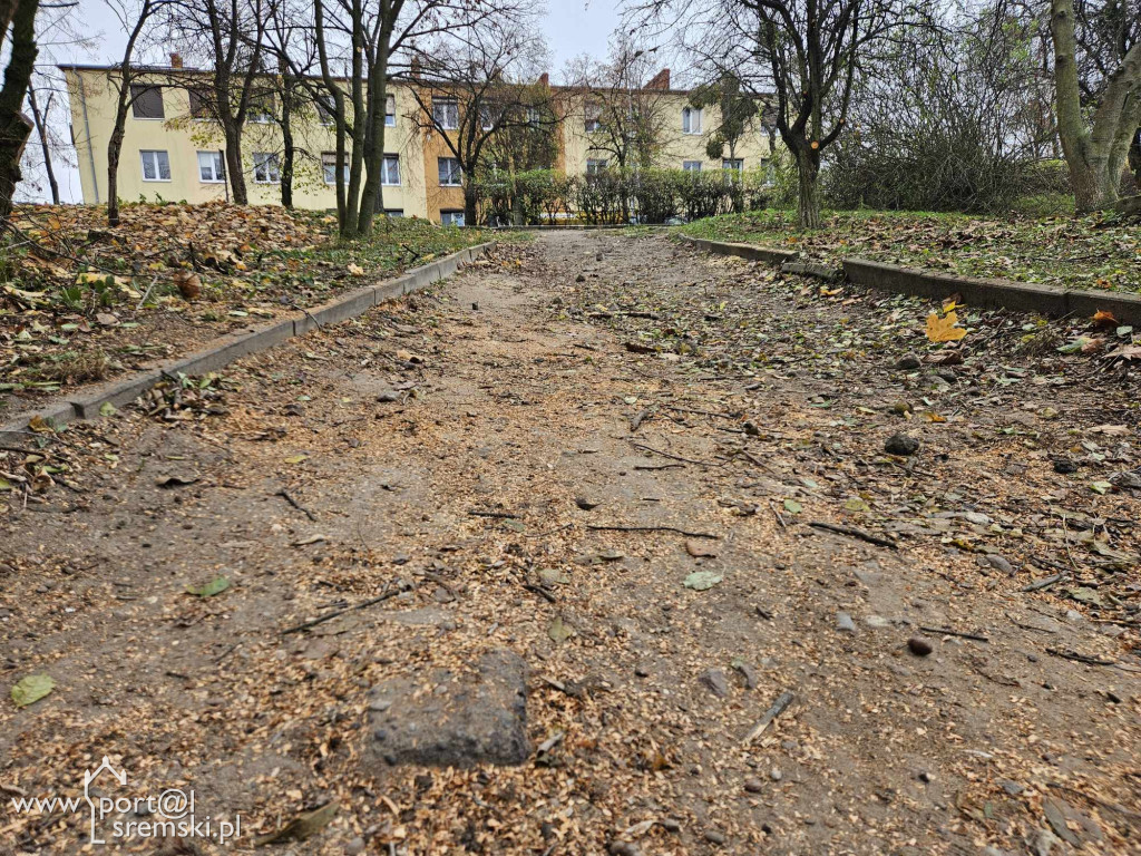 Zejście do Parku Puchalskiego w Śremie