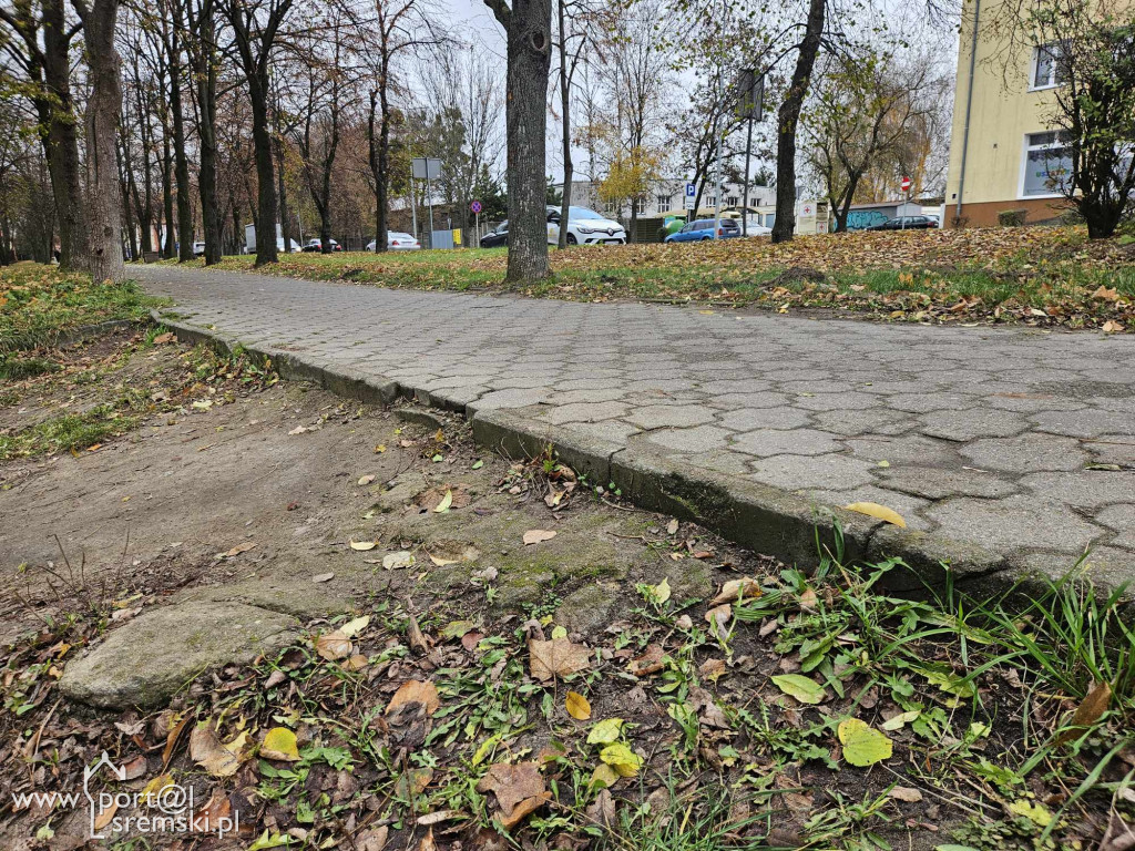 Zejście do Parku Puchalskiego w Śremie