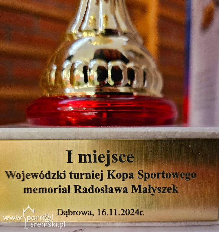 Wojewódzki Turniej Kopa sportowego