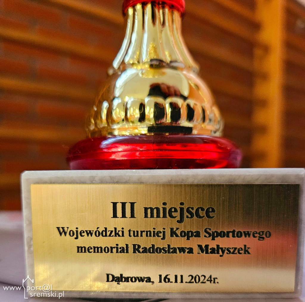 Wojewódzki Turniej Kopa sportowego