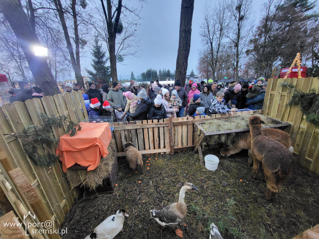 Kiermasz świąteczny w Książu Wlkp.