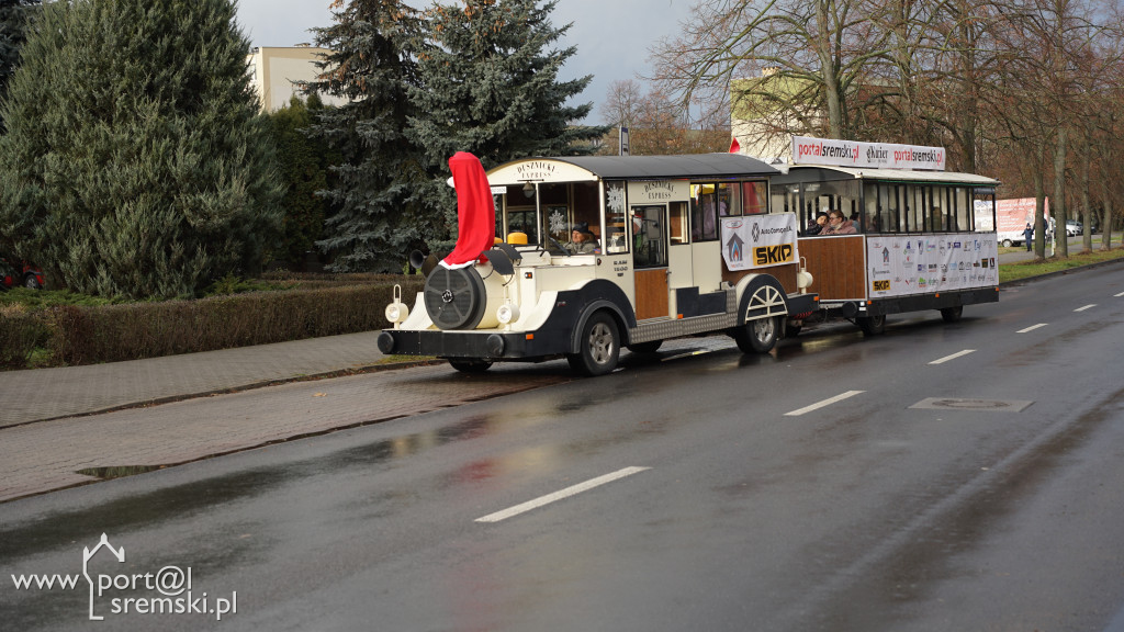 Kolejka górska w Śremie