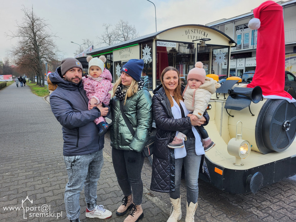 Kolejka górska w Śremie